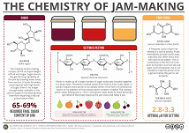 Chemistry of Jam making - tiny