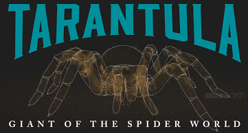 Tarantula - Giant of the Spider World