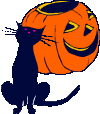 black cat & jack o' lantern