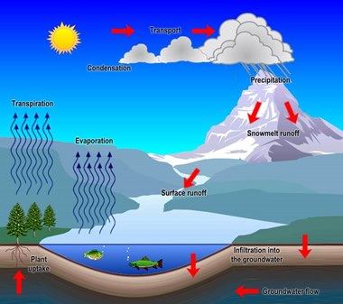 Diagram of the water cycle