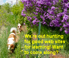 Dogs walking past lilacs bush in bloom