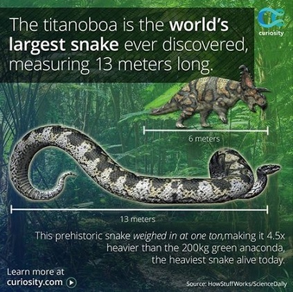 Titanoboa inforgraphic