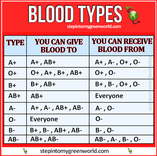 blood-types-RED1.png