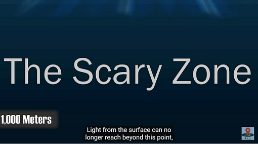 scary zone.png